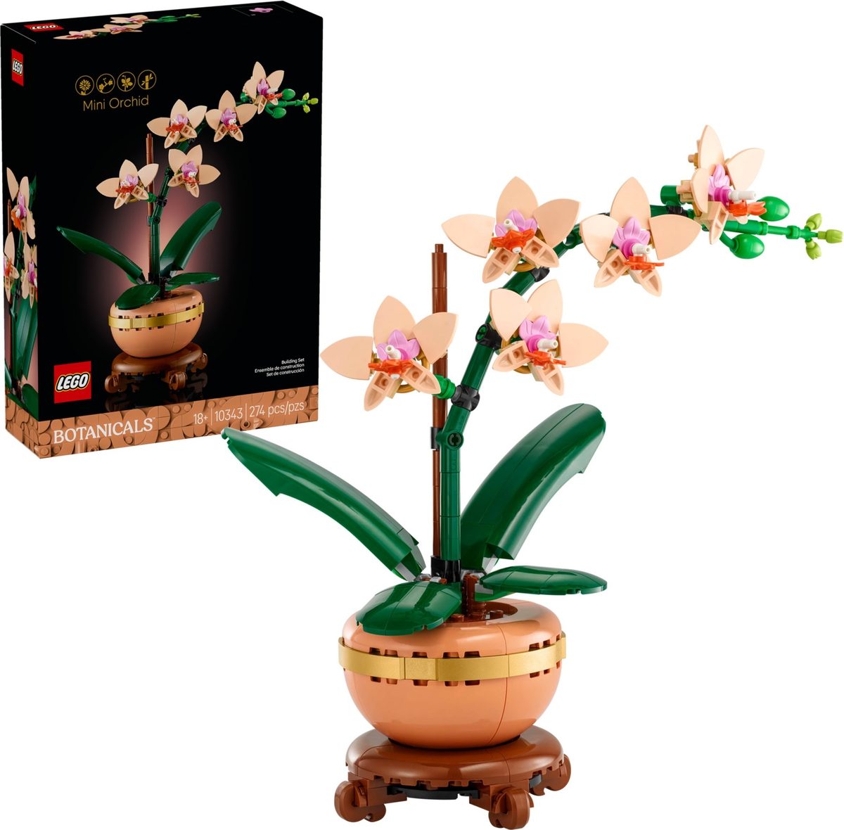 迷你蘭花