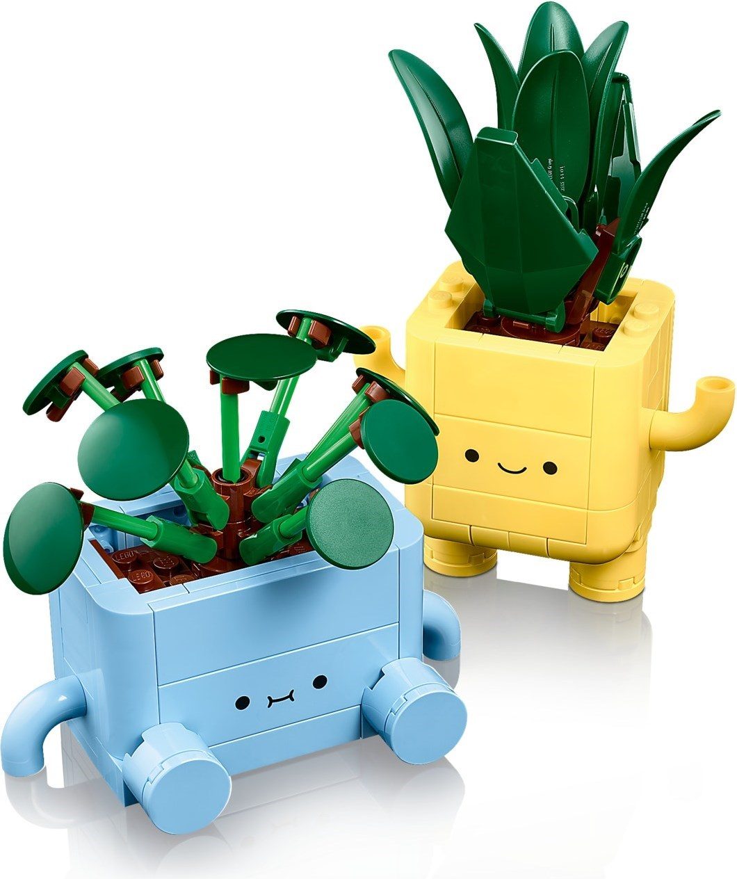 快樂植物