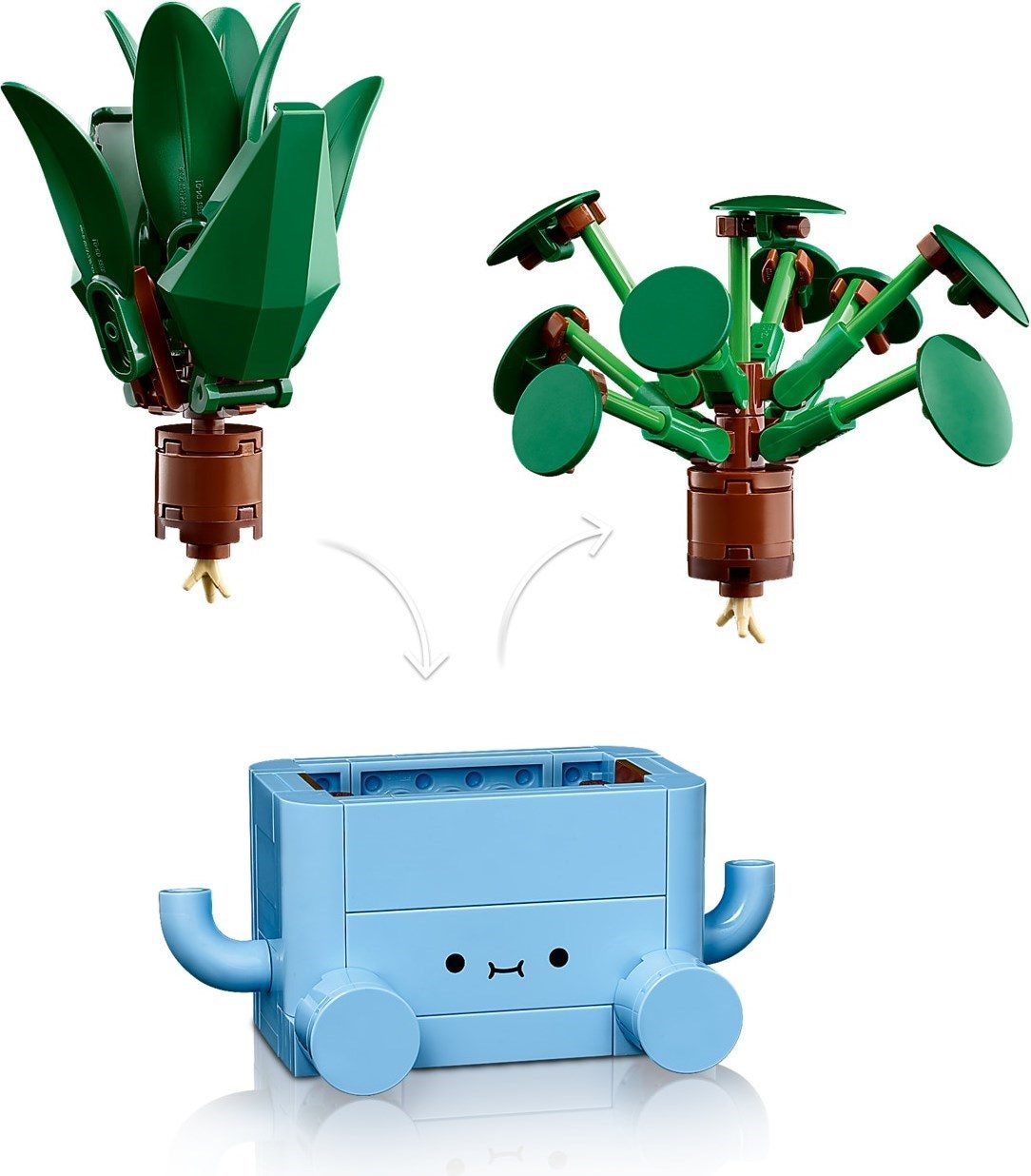 快樂植物