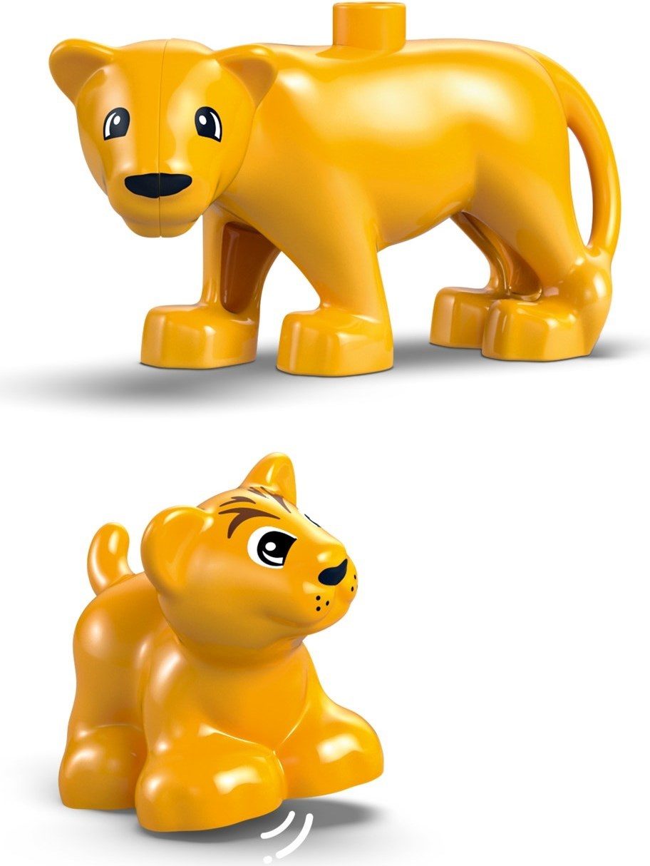 野生動物家庭:企鵝和獅子