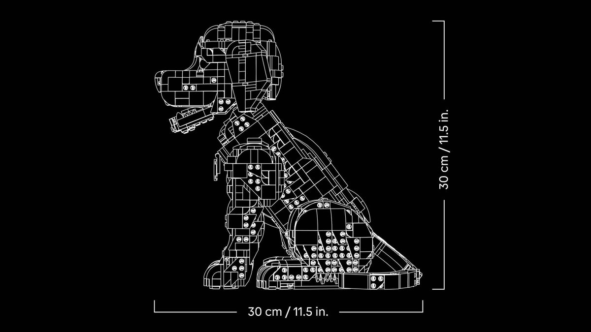 小黃金獵犬