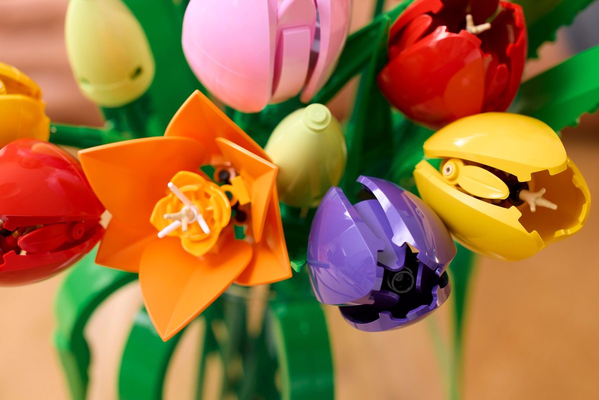 鬱金香花束