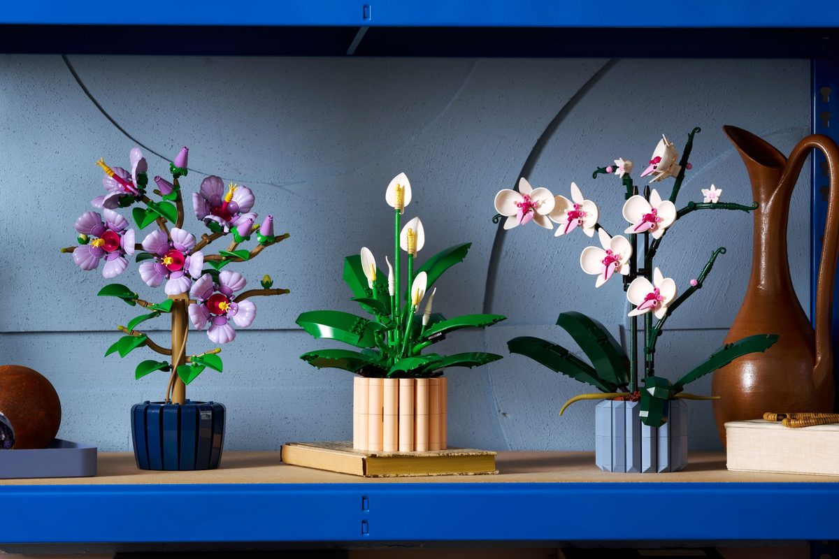 白鶴芋