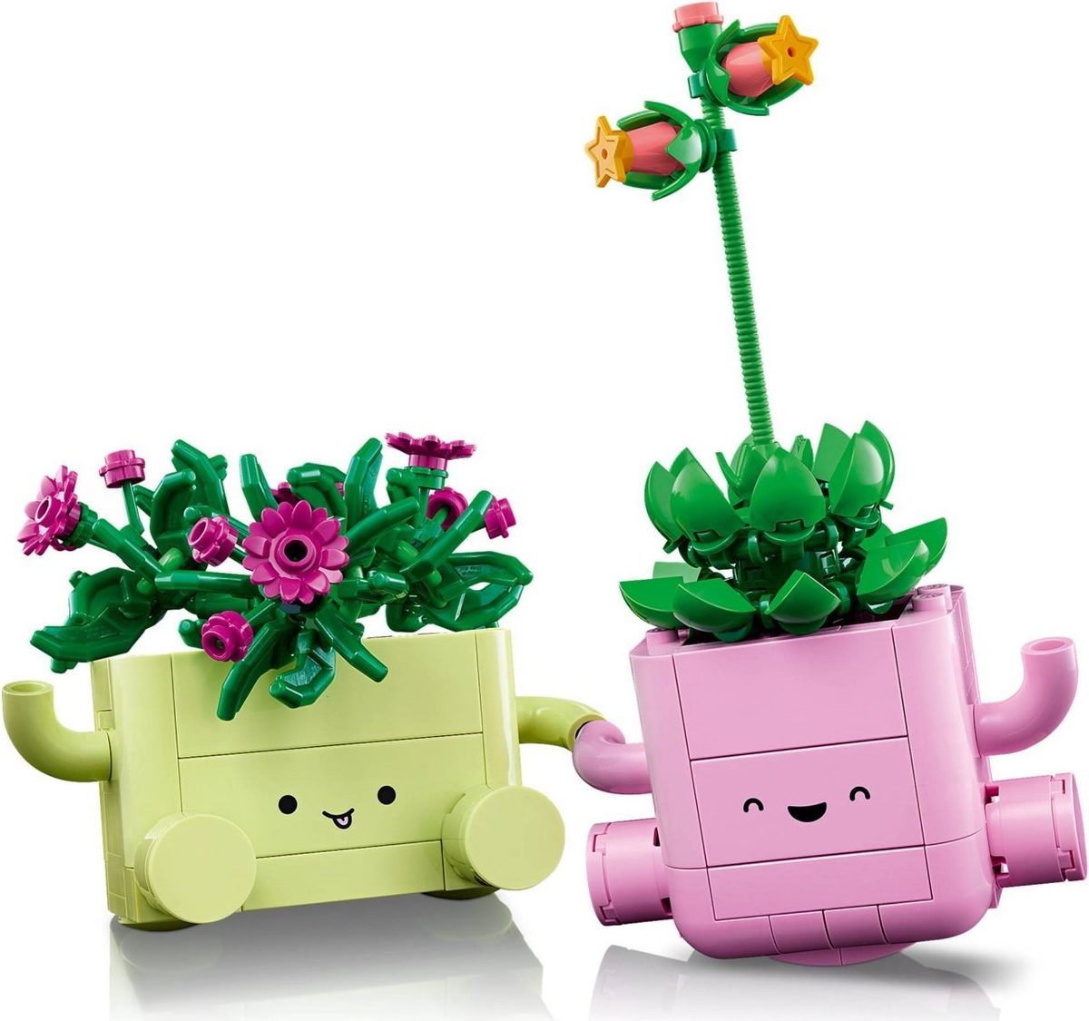 搖擺植物