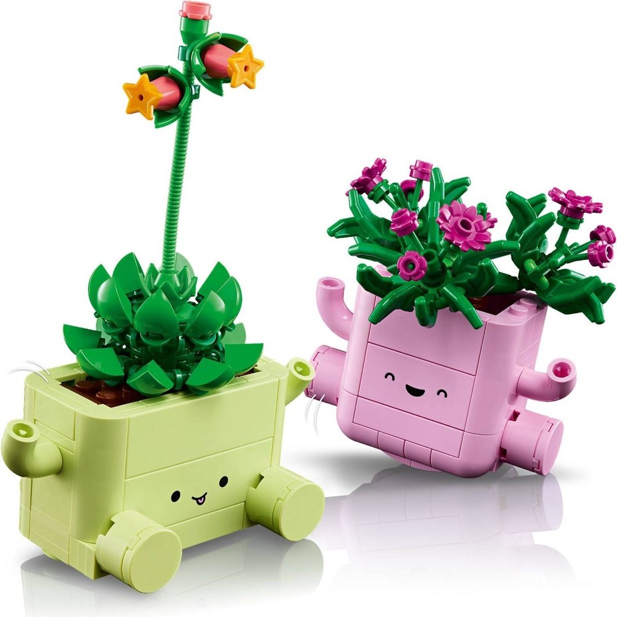 搖擺植物