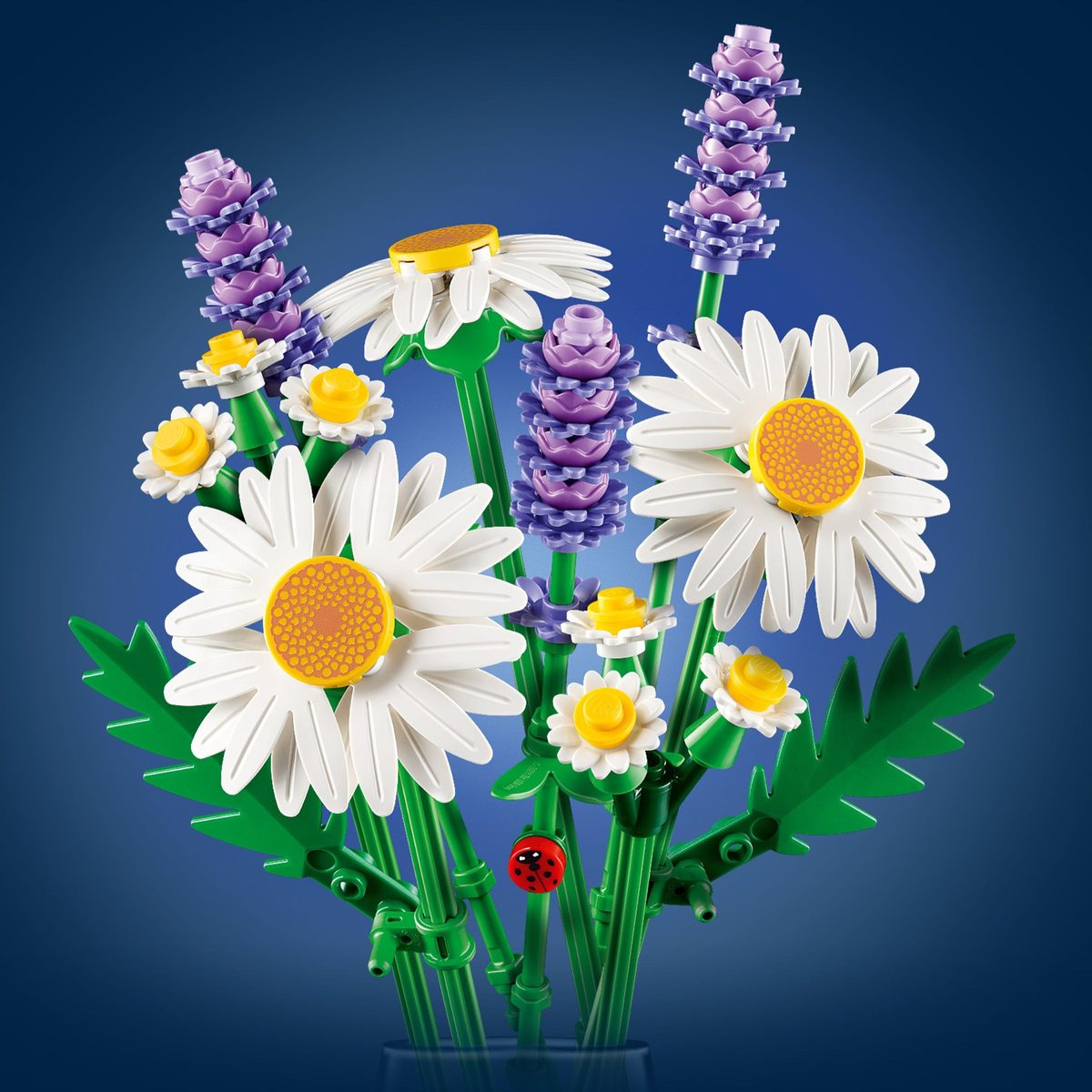 雛菊