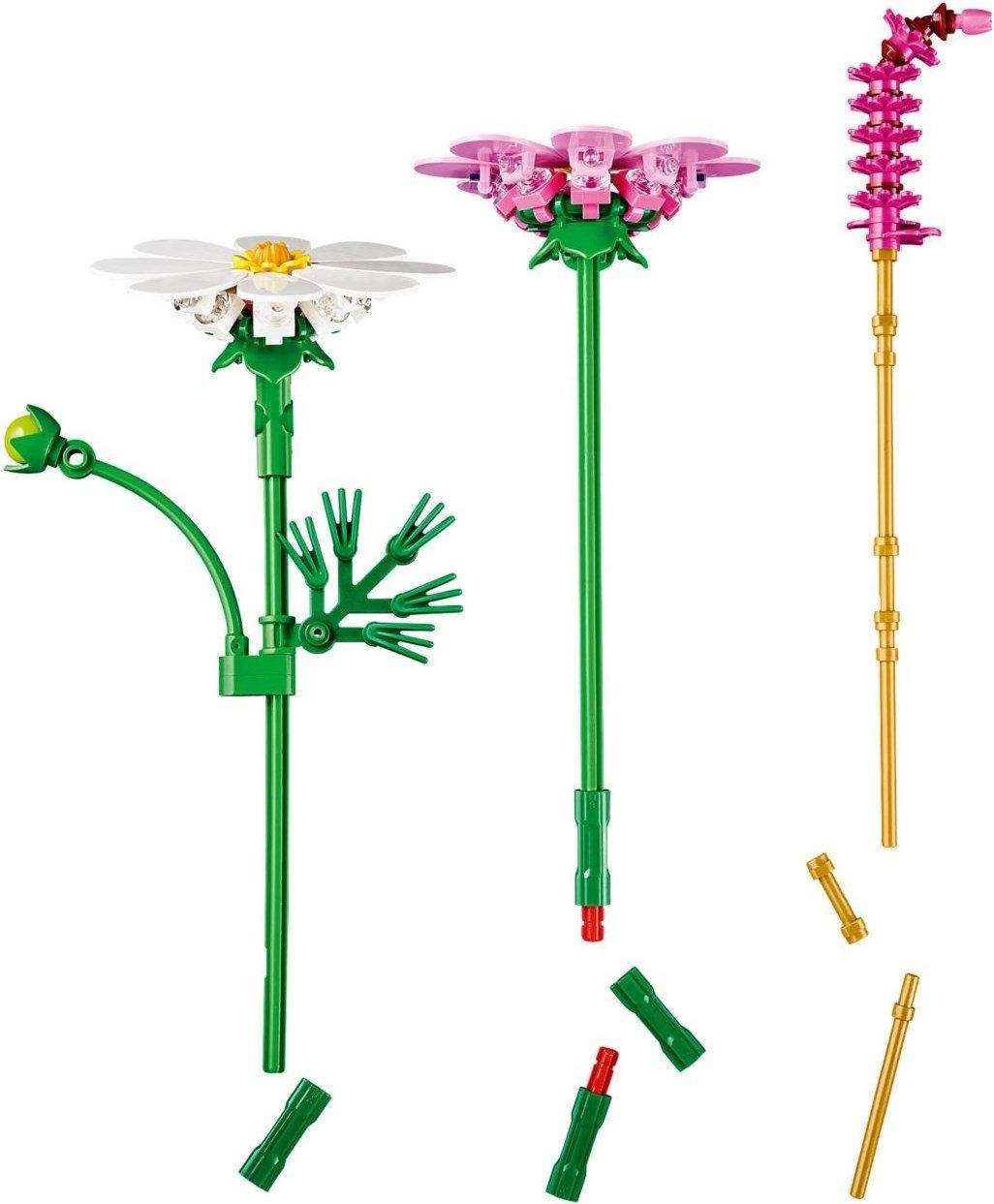 波斯菊