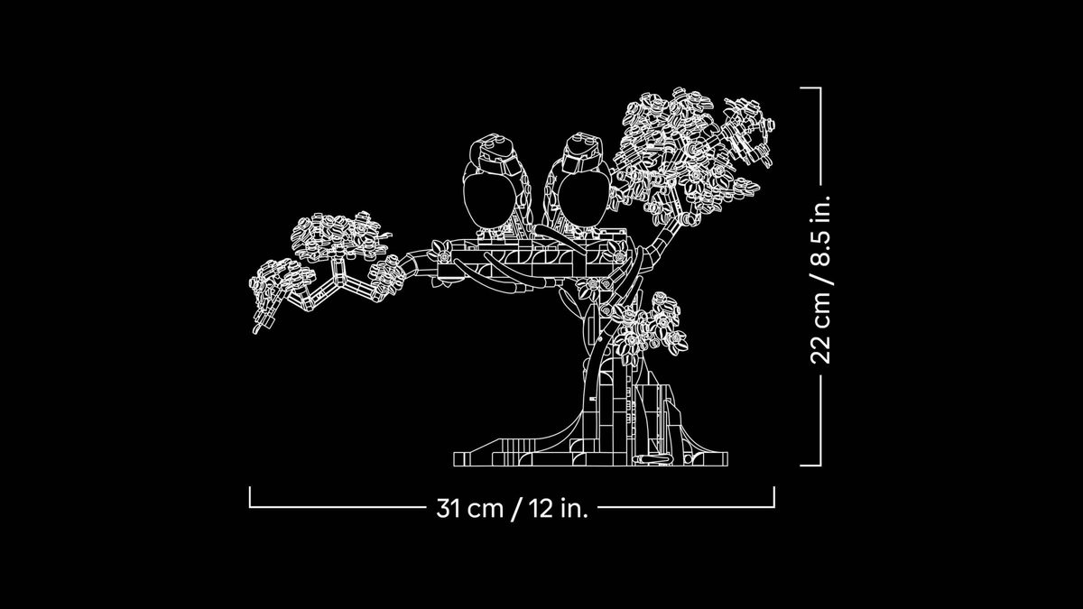 情侶鸚鵡