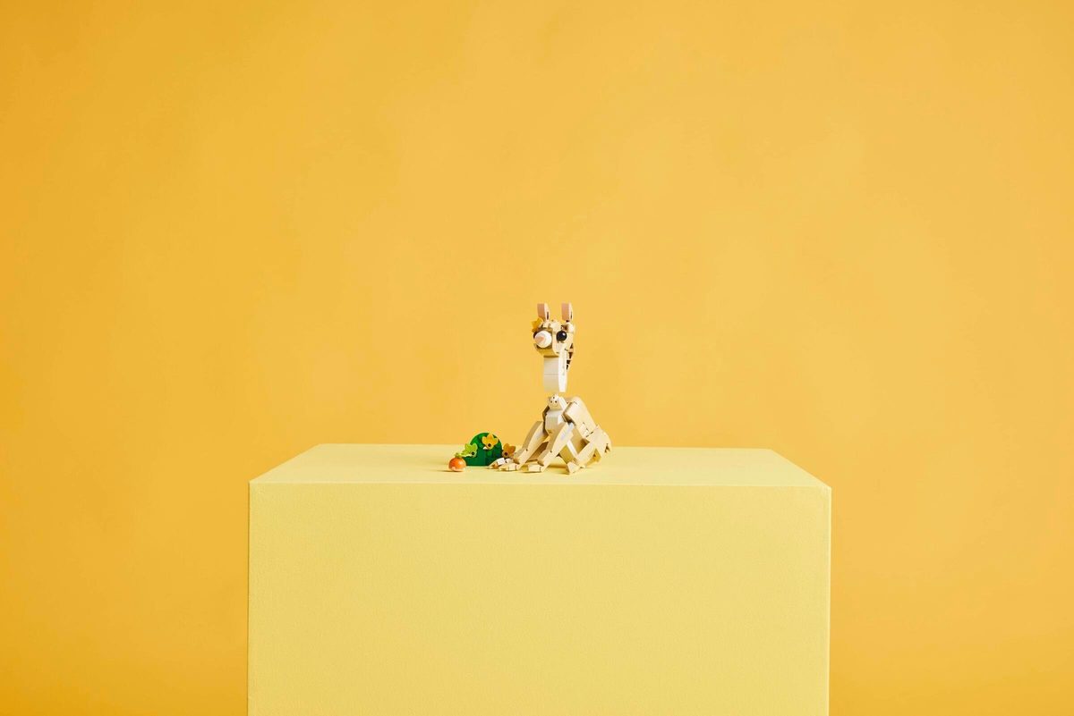 可愛兔子